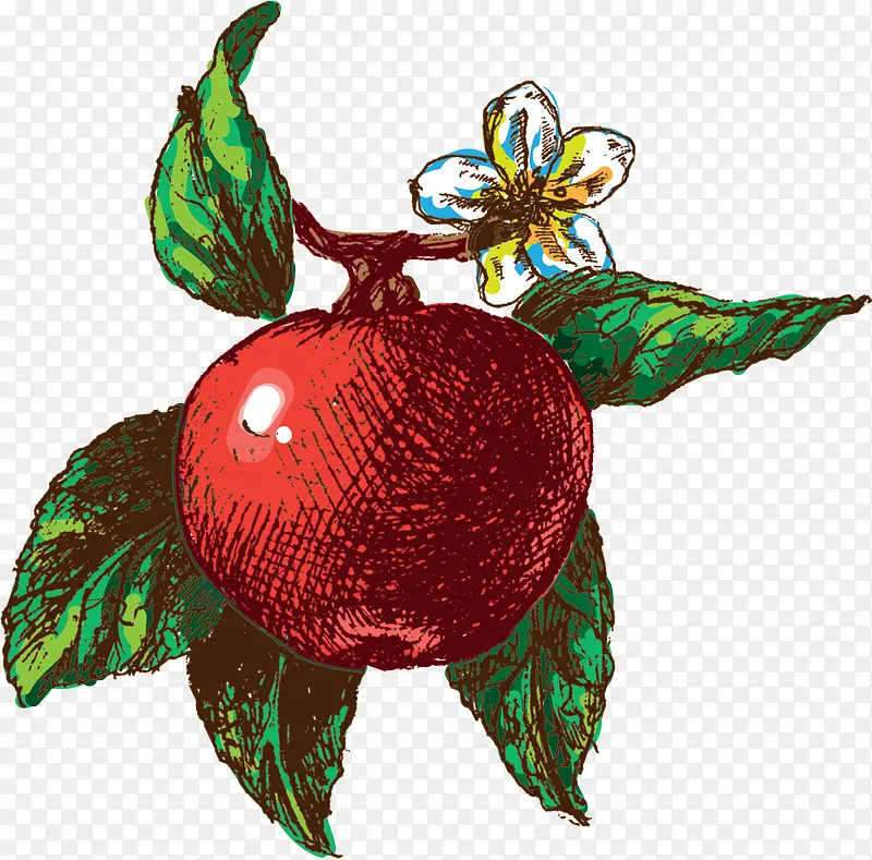 ʸ��ʯ��-������