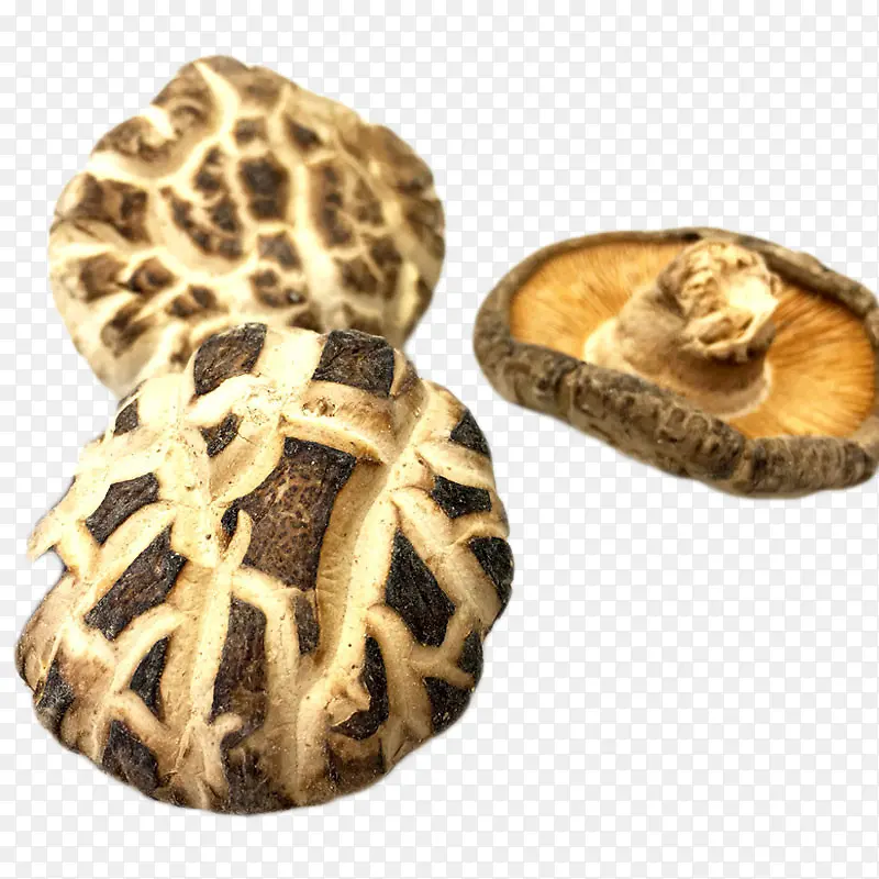 �ľ����-������