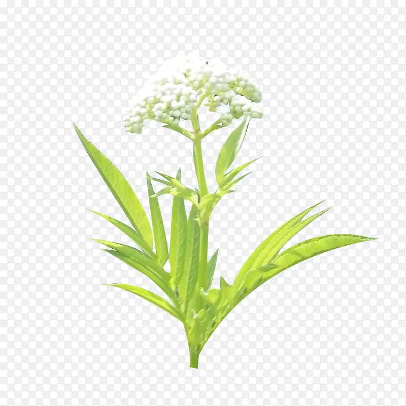 ��-������