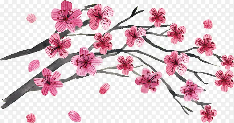 �ӻ�����PGN����-������