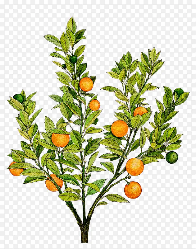 �ֻ�����-������