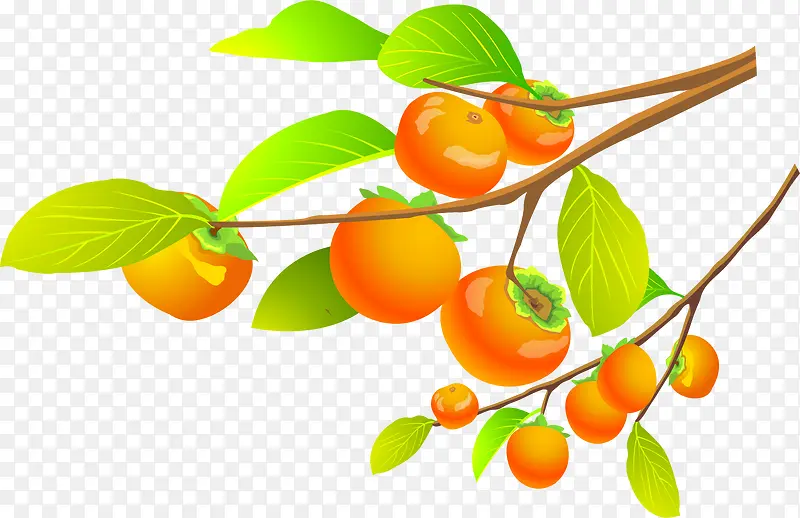 ������-������