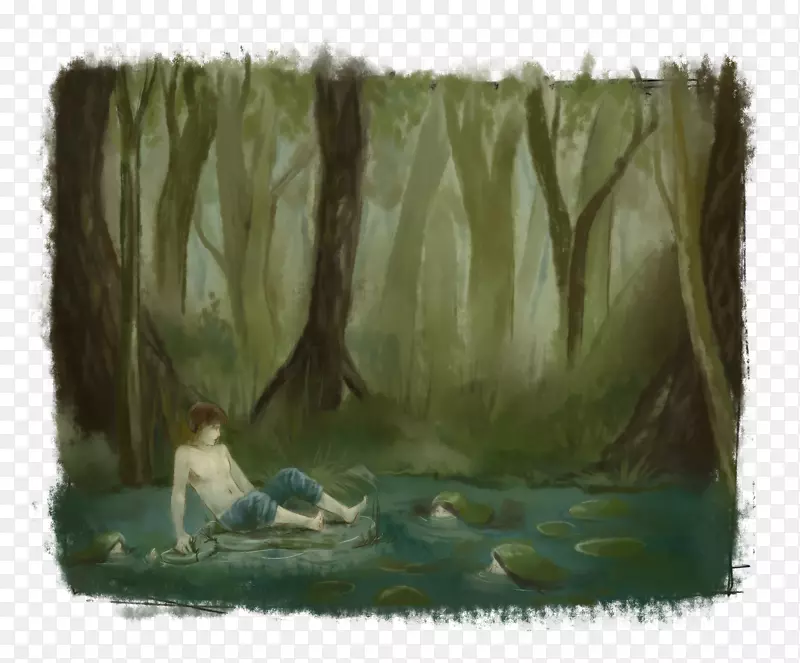 ����ˮ�ʻ�ʪ����̬-����-������