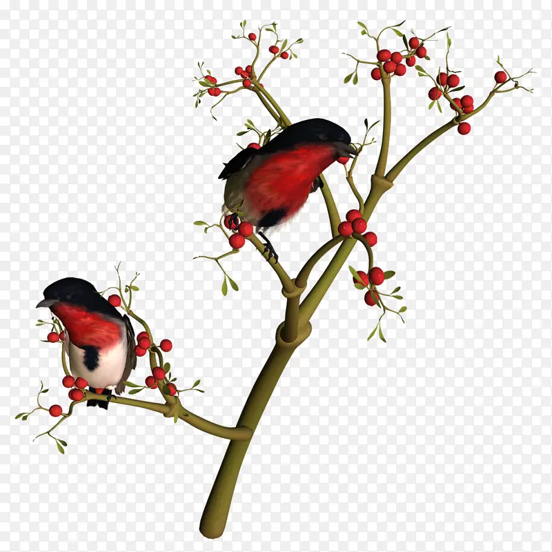 ��ֻϲȵ-������