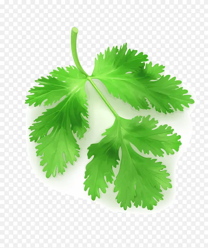 ʸ���۲�Ҷ-������