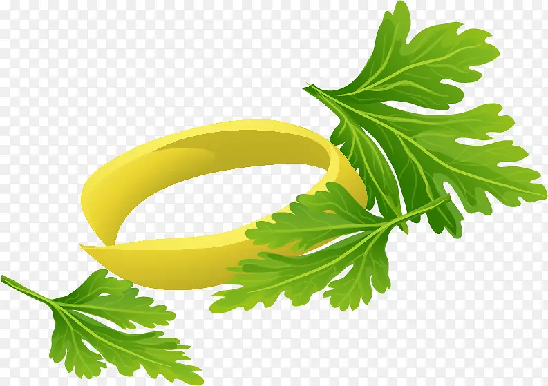 �۲�ҶPNGʸ���ز�-������