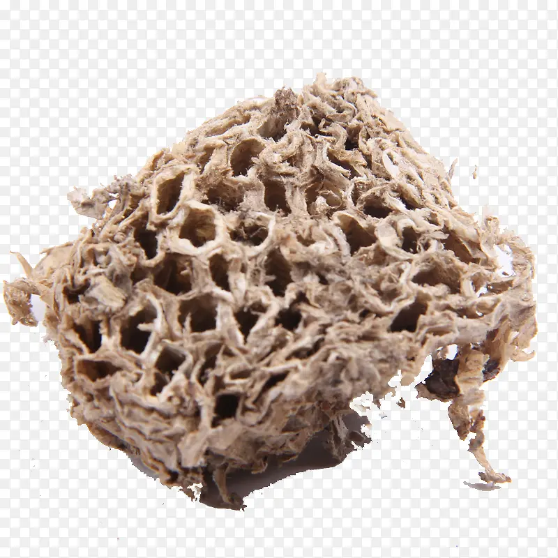 ����ҩ��-������