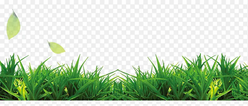 �ݴ�-������