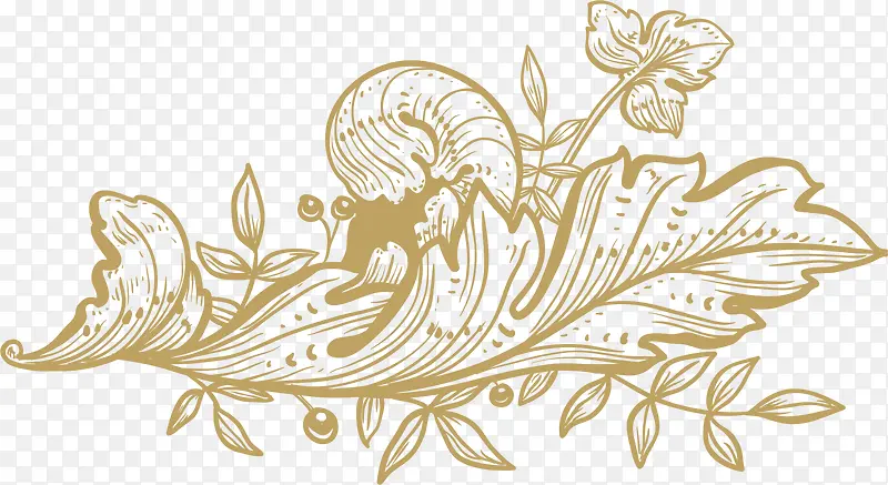 ��ɫ����ֲ��-������