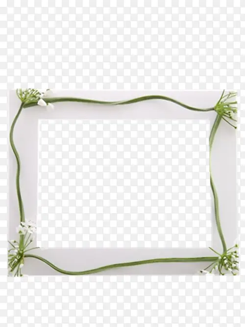 �����߿�-������