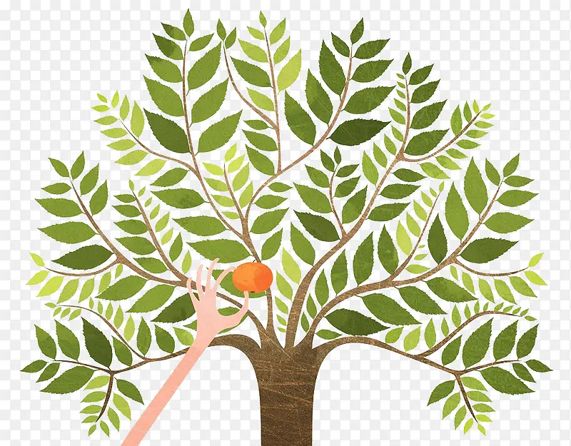 �ֻ�廭��-������