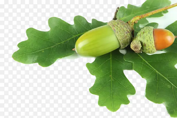 ��������-������