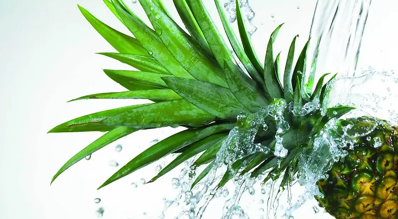 ����ˮ��������ҳ-������