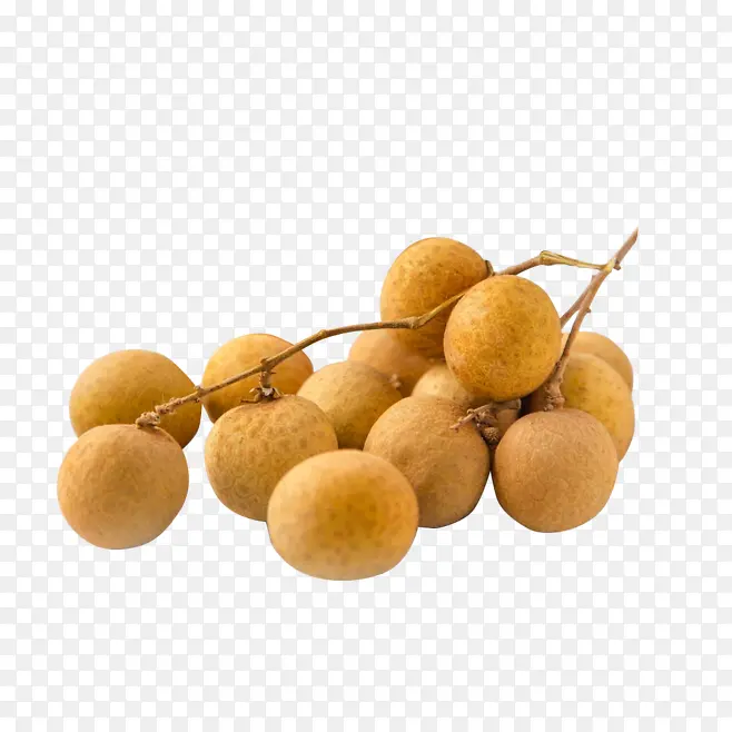 ��Բʵ��-������