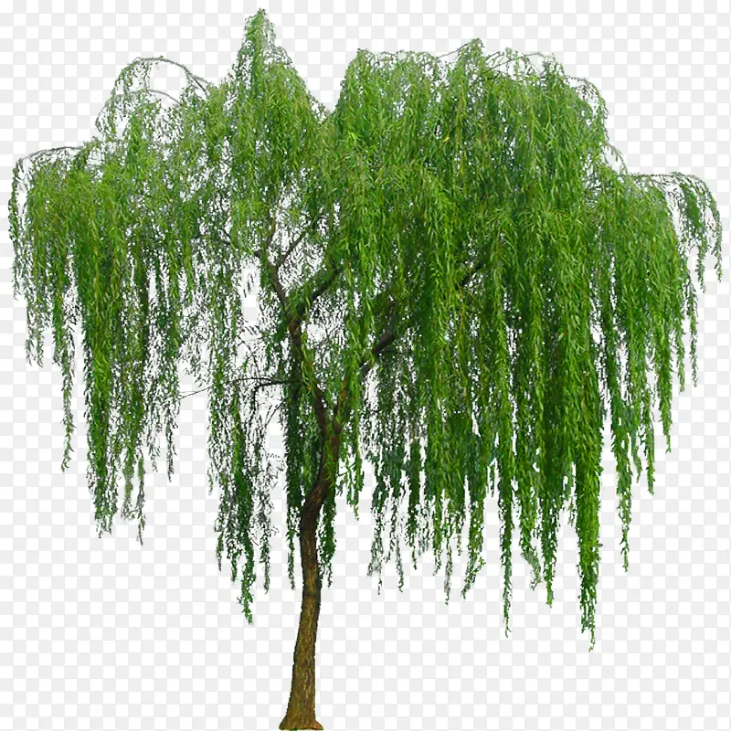 ��ľԪ���ز�-������