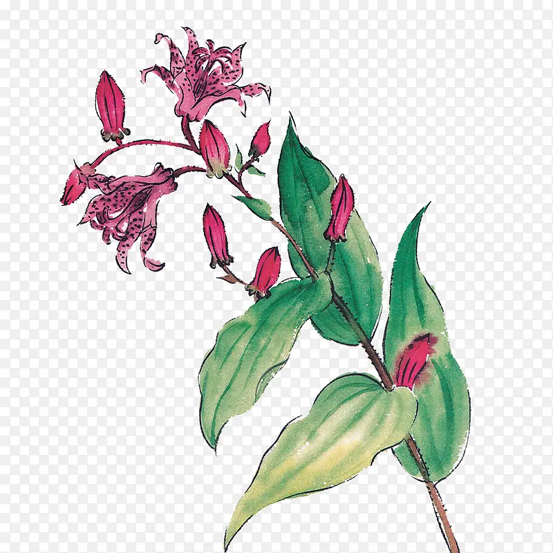 �ŷ���Ʒ��ͨ��Ʒ����-������