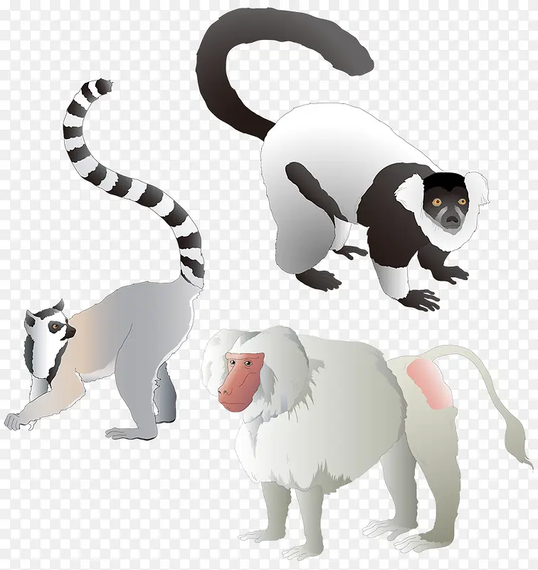 ��ͨԳ��-������