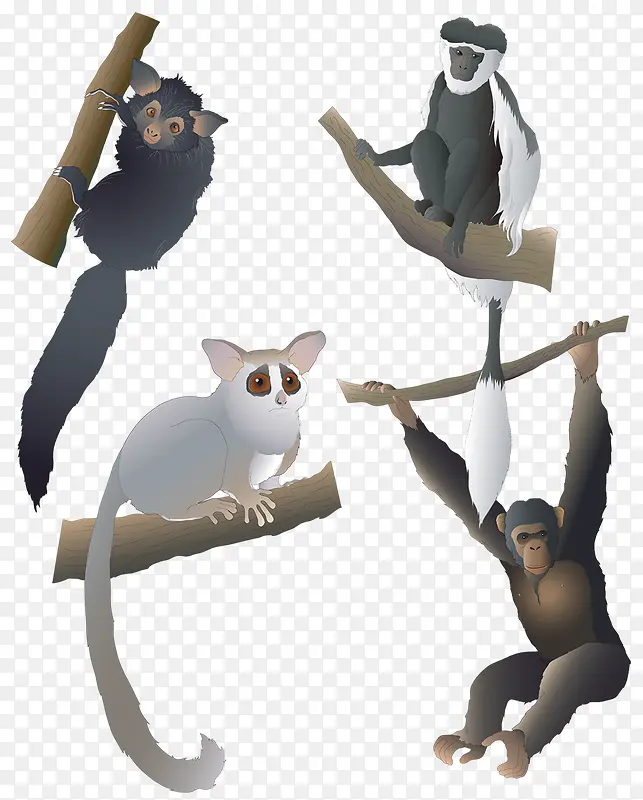 Գ������-������