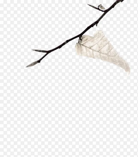 ��ɫ��֦-������