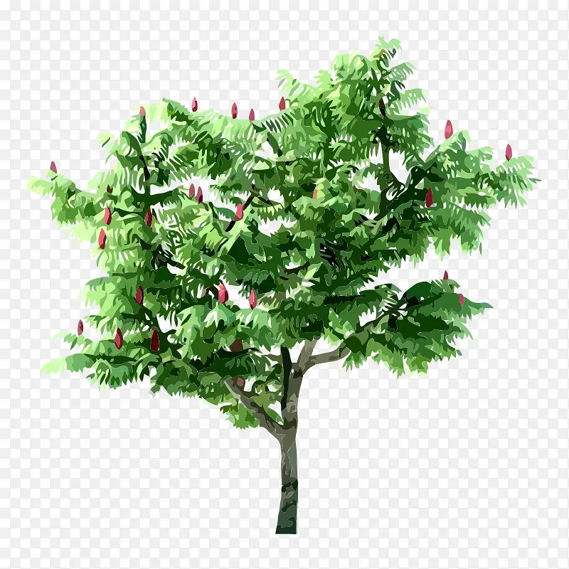 �� ��ľ ľ ֲ��-������