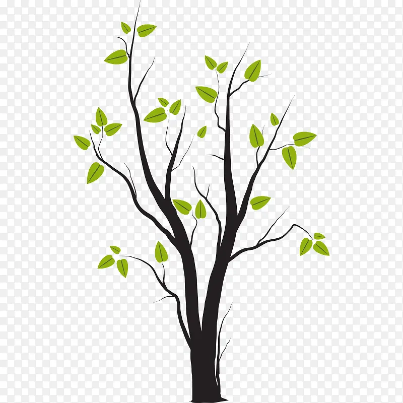 �� ��ľ ľ ֲ��-������