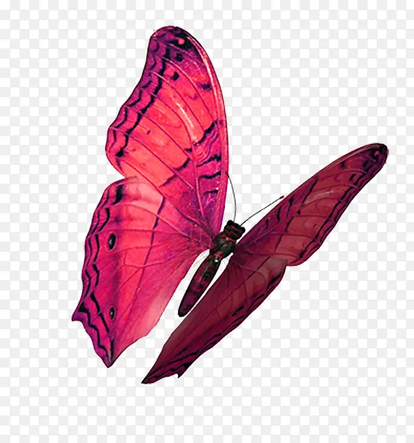 ��ɫ����-������