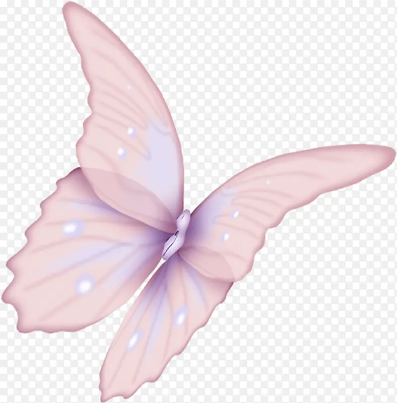 һֻ��ɫ����-������