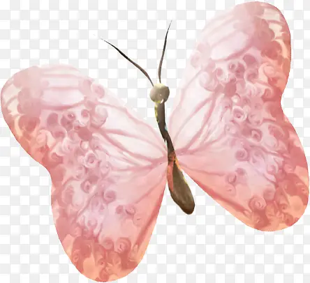 ��ɫ��������-������