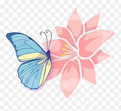 ���ڲ��۵ĺ���-������