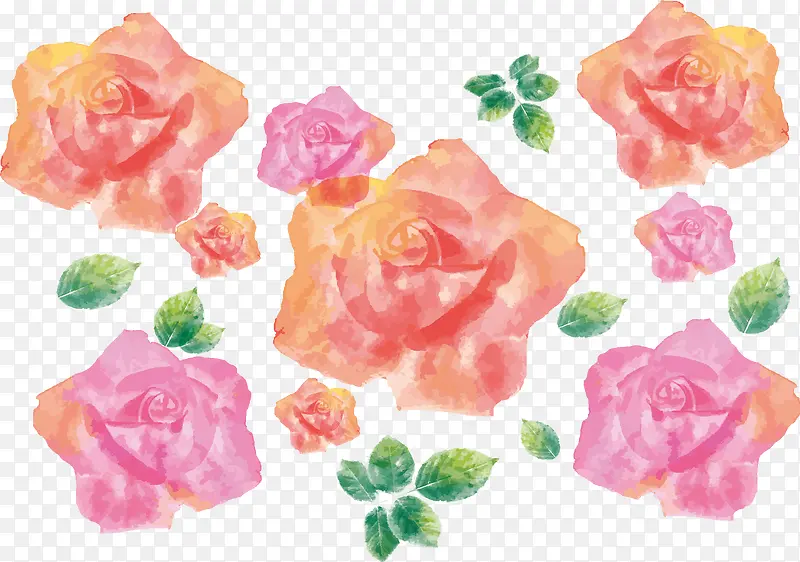 �ۺ�ɫˮ��ֲ�ﻨ��-������