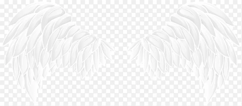 �ڰ׵�ɫ��Ӱ�����������-������