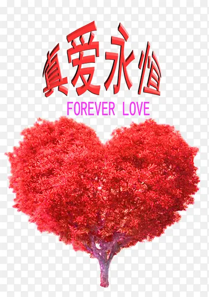 �氮����-������