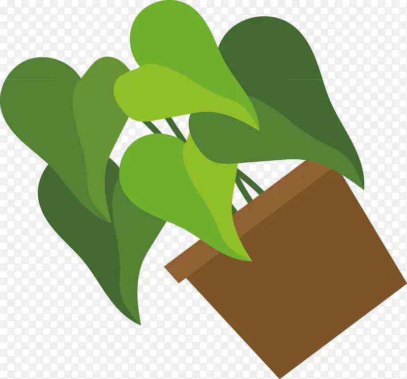 ����װ�����ʸ��-������