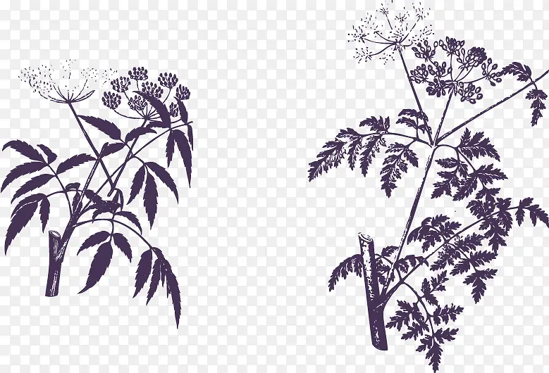 �ֻ��ɫ��֦-������