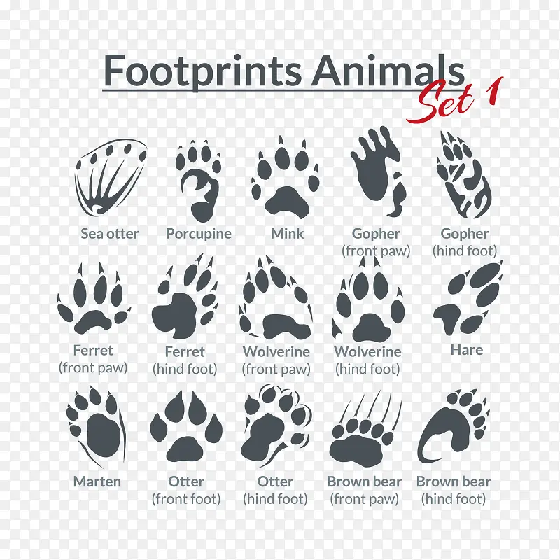 15����ӡ���ʸ��ͼ-������