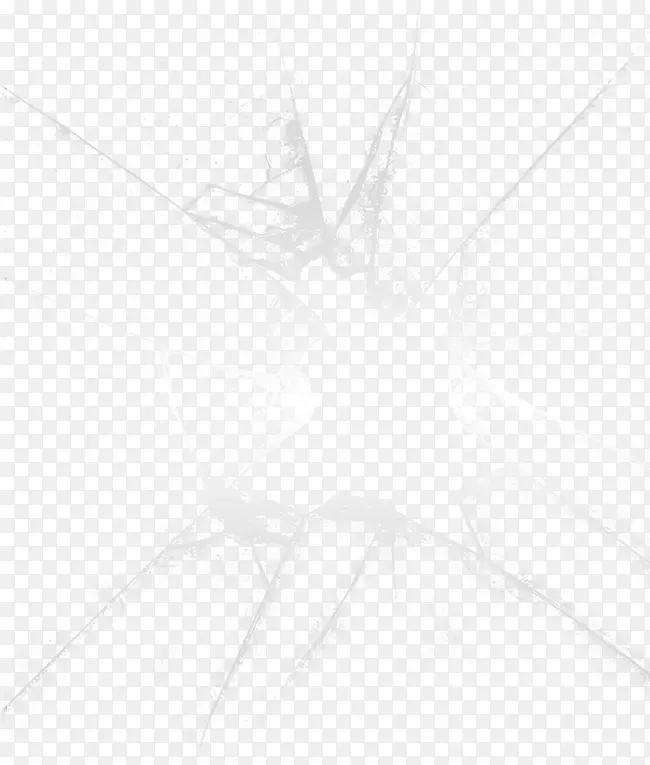 ���鲣����-������