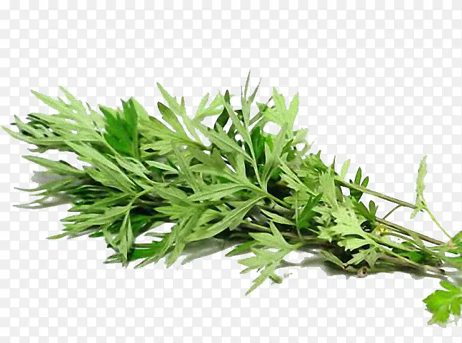 ����ڰ���-������