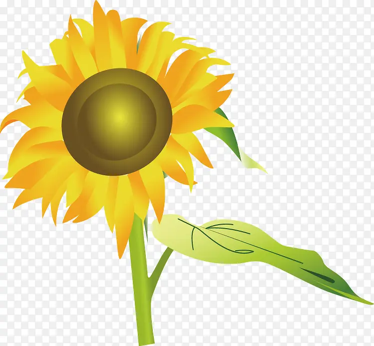 ���տ�ʸ���ز�-������