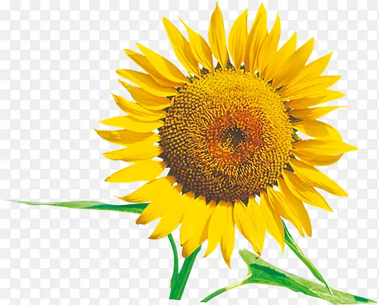 ���տ��ز�-������