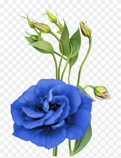 ps�����زĿ�ͨװ���ز�-������