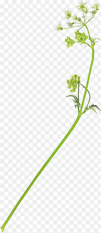 �������軨��ʸ���ز�-������