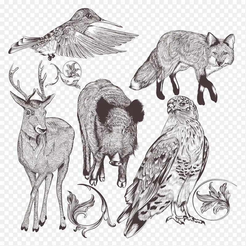 �ֻ�Ұ������-������