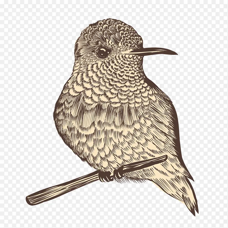 ʸ���ֻ����-������