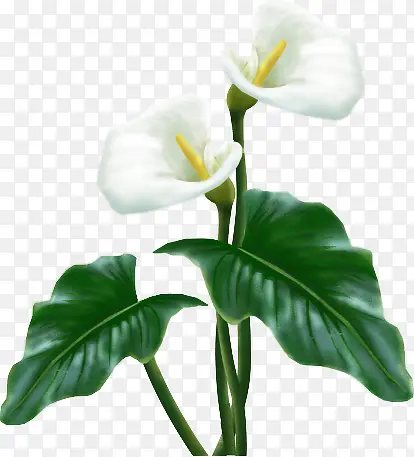 ����ʸ��ͼ�ز�װ��-������