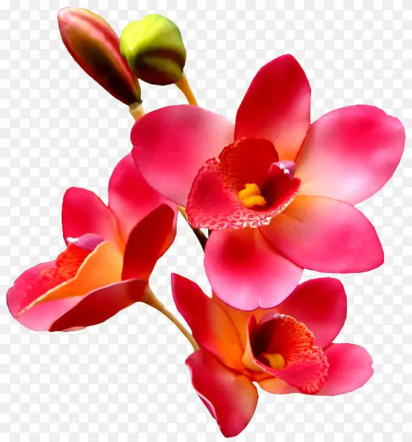 ��ͨװ���ز��ʻ�����-������