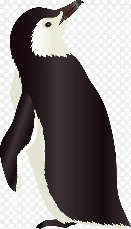 ���ʸ���ز�-������