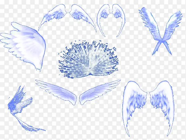 ���ְ�ɫ�ĳ������-������