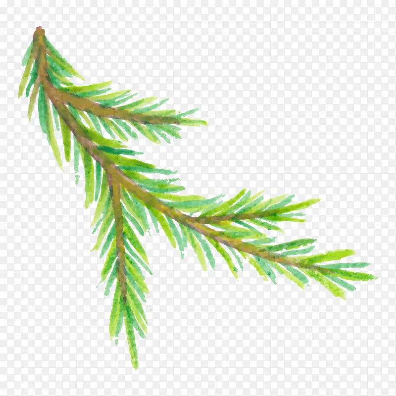 ���̵�����֦-������