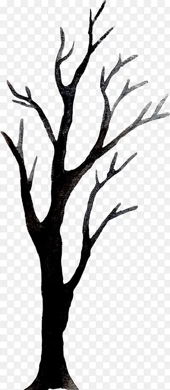 ��ʥ����֦-������