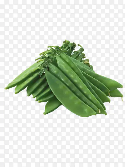 �㶹��-������